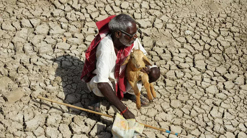 ONU alerta: aquecimento global pode bater recordes nos próximos 5 anos