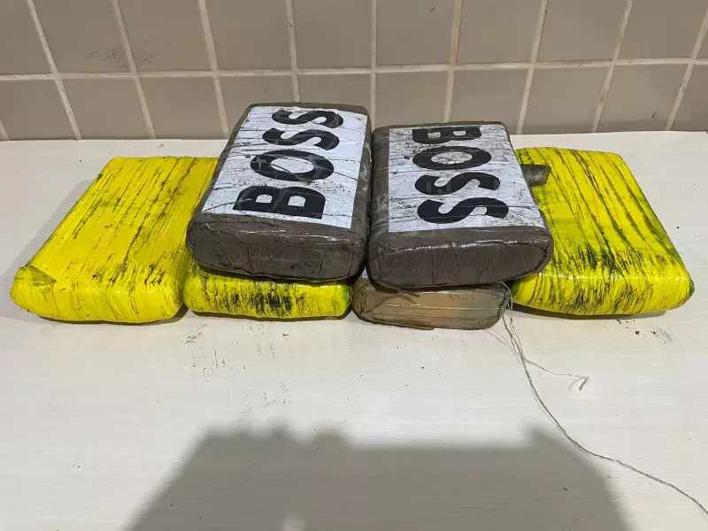 Operação Carga Máxima apreende mais de 6kg de maconha em Terra Santa, no Pará