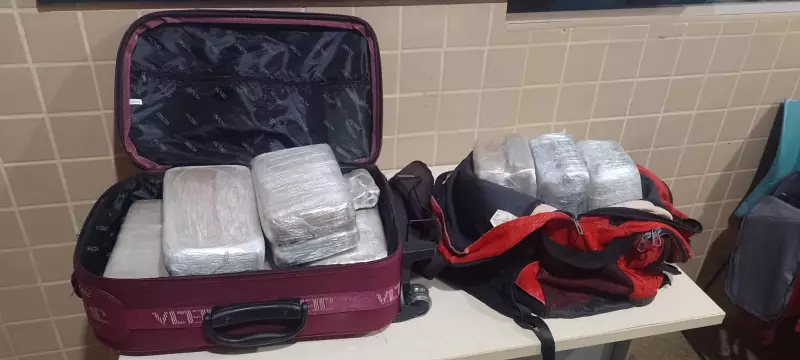 Operação da PM apreende mais de 31 kg de drogas e cumpre mandado de prisão em Terra Santa