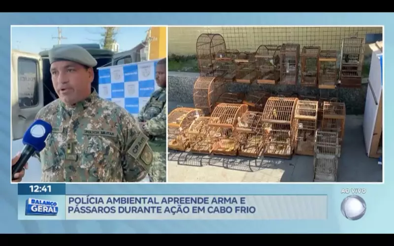 Operação da Polícia Ambiental em Cabo Frio apreende armas e pássaros silvestres
