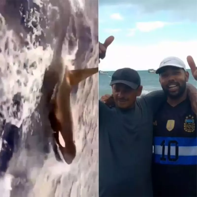 Orca é filmada em praia do RN: vídeo impressionante viraliza nas redes