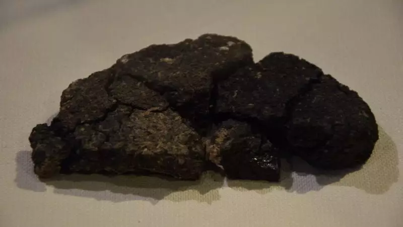 Padaria turca recria pão de 5 mil anos exposto em museu: uma viagem no tempo gastronômica