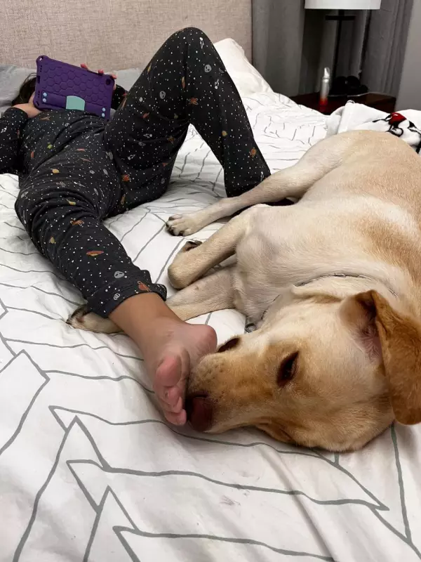 Pai de criança autista aguarda embarque de cão de apoio para Portugal: uma jornada de amor e superação