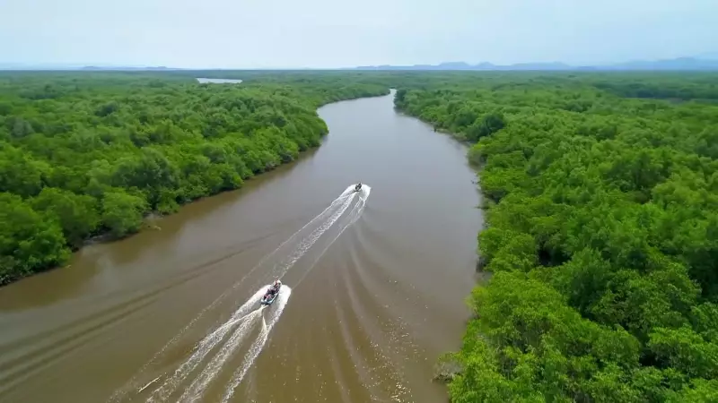 Pantanal Fluminense: O paraíso escondido na Baía de Guanabara, a apenas 10 km de Paquetá
