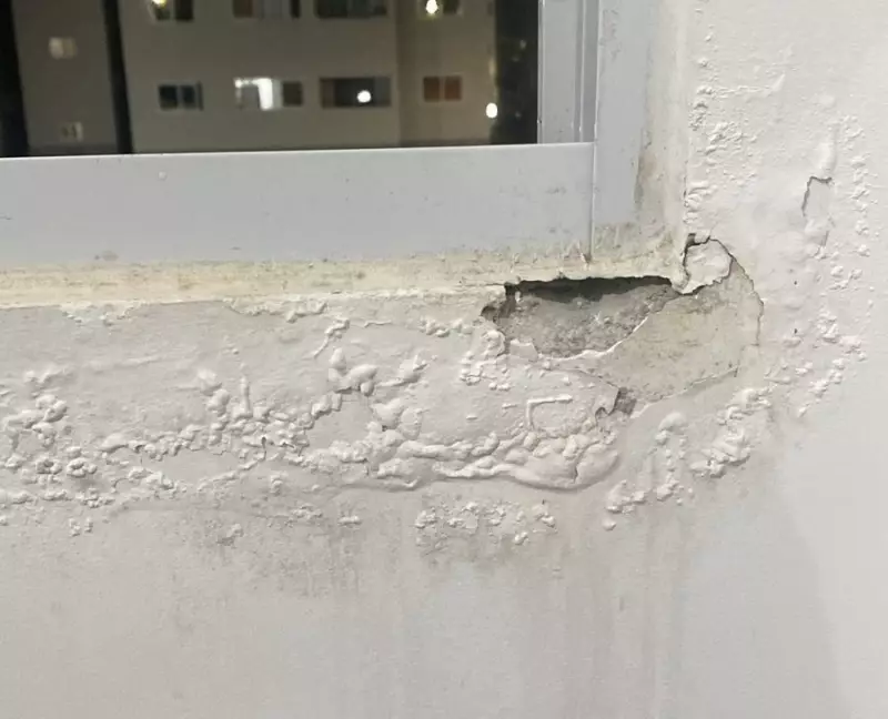 Paraíba registra mais de 16 mil denúncias por falhas em obras em dois anos