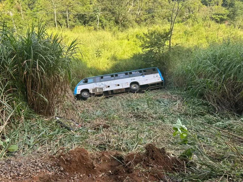 Passageira de micro-ônibus que tombou em barranco recebe alta médica em Juiz de Fora