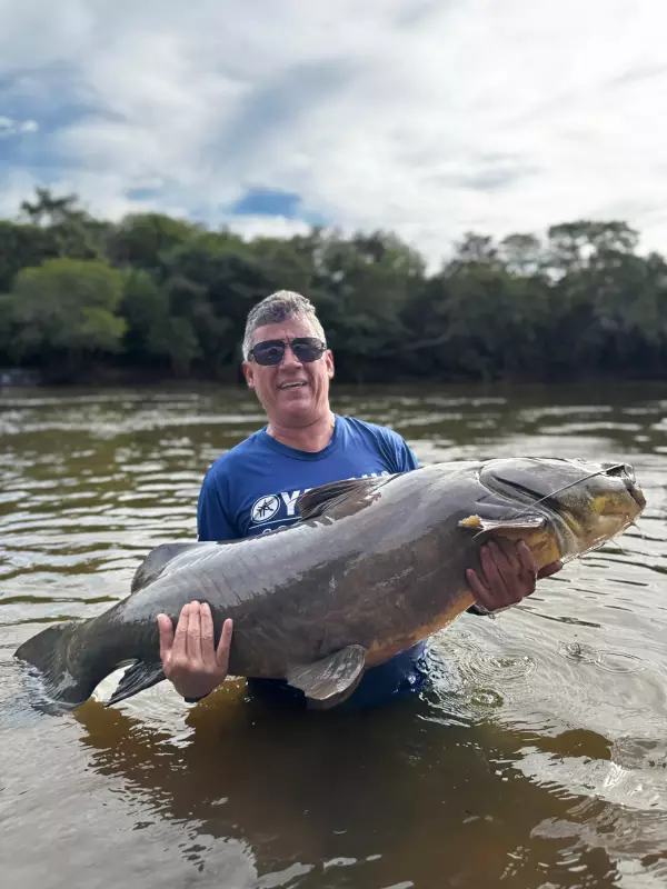 Pescador emocionado fisga jau gigante no Pantanal: 'Esse peixe me comoveu'