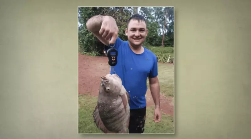 Pescador surpreende ao encontrar tilápia gigante de mais de 5 kg no Paraná: entenda o fenômeno