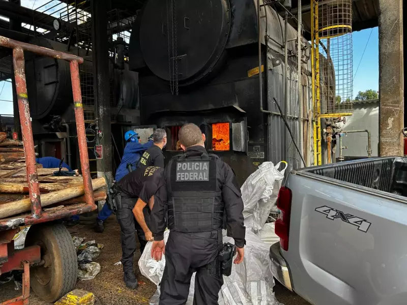 PF incinera 15 toneladas de maconha apreendidas em Bauru: operação combate tráfico de drogas