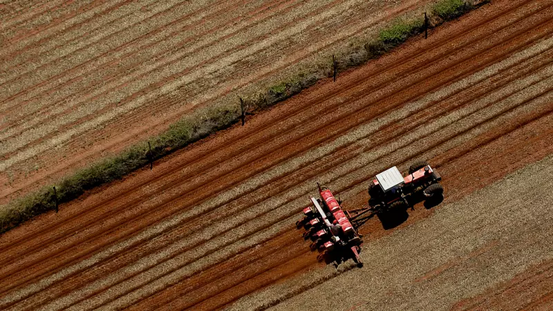 PIB do 1º tri surpreende, mas cenário futuro preocupa economistas