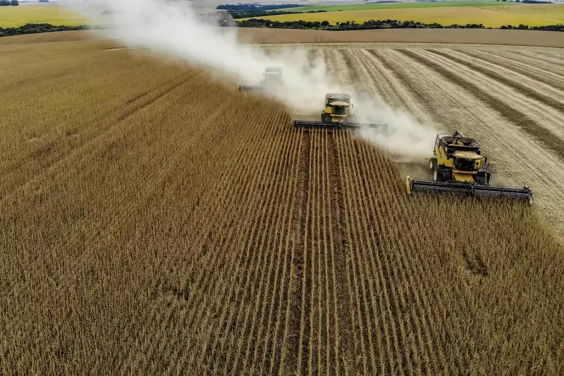 PIB do 1º trimestre: forte dependência do agronegócio preocupa economistas