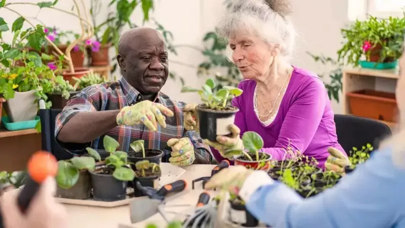 Plantar e Cuidar: O Segredo para uma Vida Mais Longa e Saudável