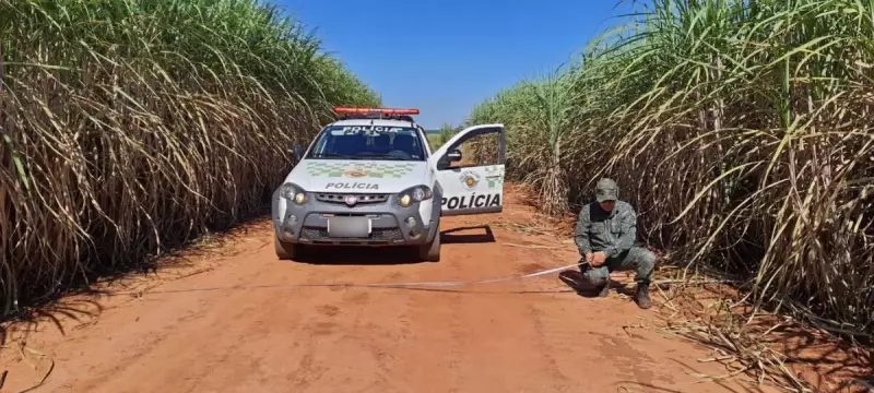 PM Ambiental intensifica fiscalização para evitar incêndios florestais em todo o estado