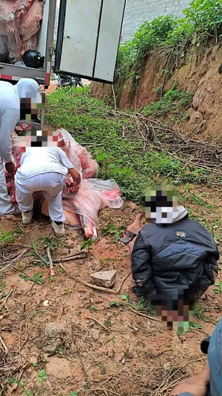 PM recupera caminhão com R$ 75 mil em carne bovina roubado na Zona Sul de SP | Fotos