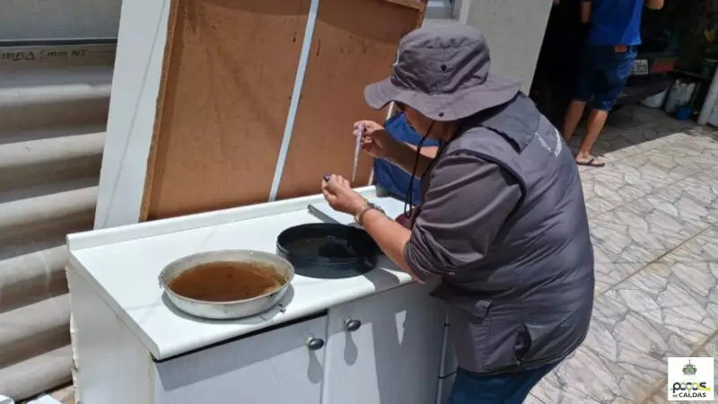 Poços de Caldas se destaca no combate ao Aedes aegypti: veja as estratégias que deram certo