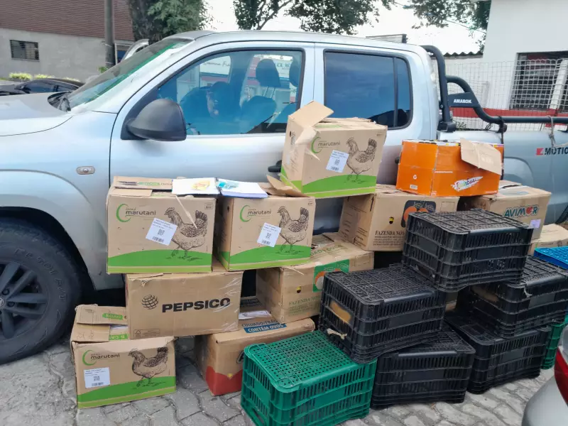 Polícia apreende mais de 6 mil essências de narguilé contrabandeadas em Suzano