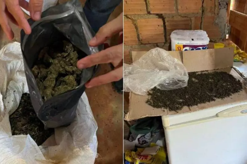 Polícia apreende mais de meia tonelada de maconha no Extremo Sul da Bahia