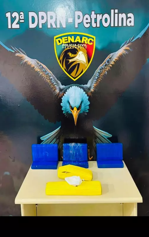 Polícia Civil apreende 63 kg de cocaína e 2 kg de maconha em residência no Cacheado, Petrolina