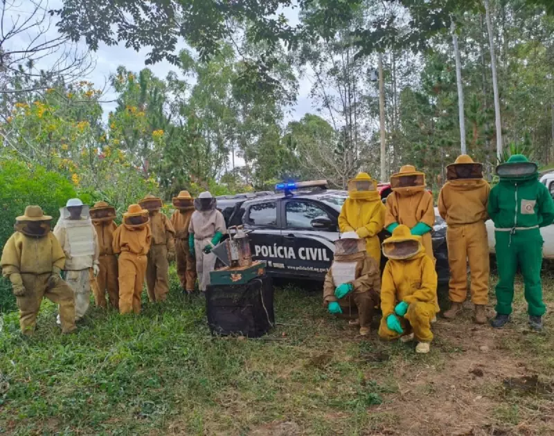 Polícia desmonta esquema de furto de colmeias em Minas Gerais: saiba detalhes