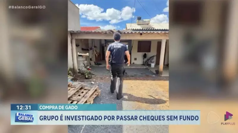 Polícia investiga suspeitos por compra de gado com cheques sem fundo em Goiás
