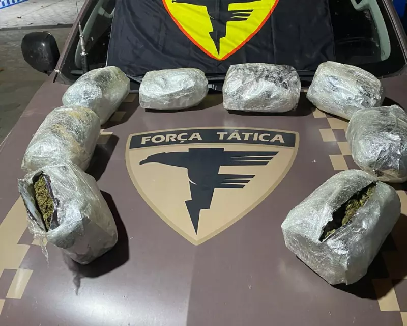 Policiais encontram maconha escondida em saco após suspeito tentar carona em rodovia do Tocantins