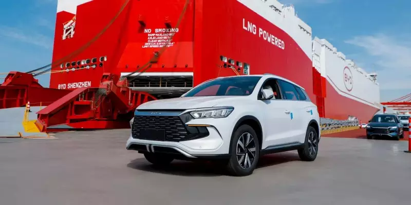 Porto de Itajaí bate recorde com maior operação de carros elétricos do Brasil