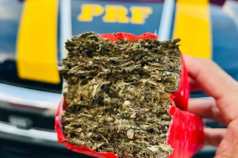 PRF apreende 25 kg de maconha em ônibus na BR-116 em Jequié: veja detalhes da operação