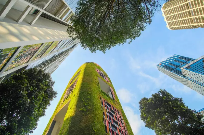 Profissionais pelo Desenvolvimento Sustentável: Como Construir um Futuro com Propósito