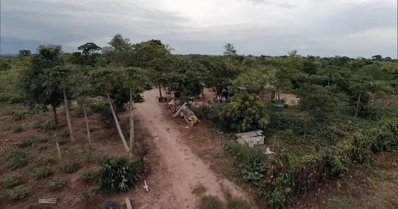 Projeto no Congresso sobre licenciamento ambiental divide governo Lula e agrada ruralistas