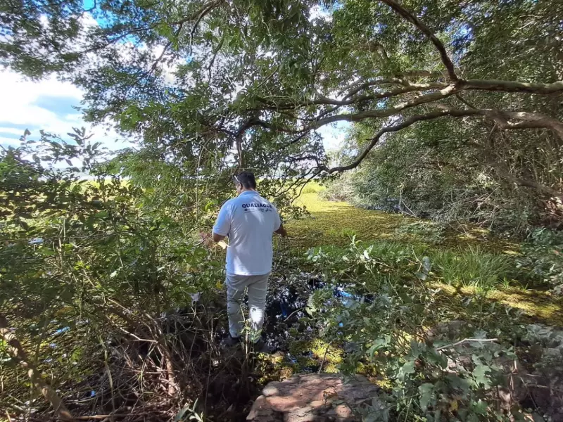 Proliferação de aguapés no Açude Caldeirão em Piripiri preocupa pesquisadores: entenda os impactos