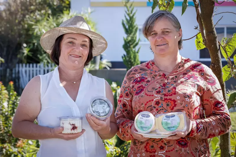 Queijos do Paraná: 4 produtoras de Araucária brilham na 2ª edição do evento