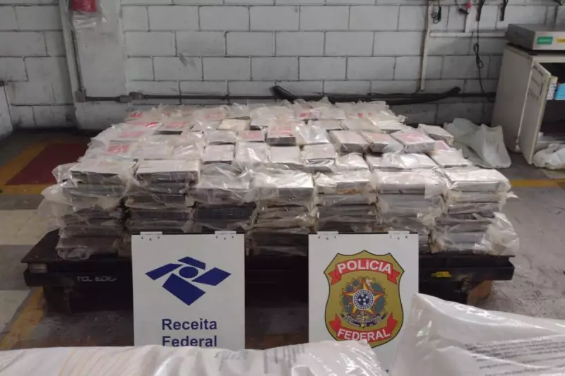 Receita Federal apreende 664 kg de cocaína no Porto de Santos: maior apreensão do ano
