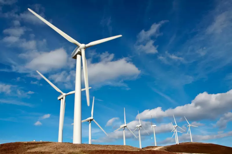 Renova Energia recorre contra anulação de capitalização de R$ 540 milhões: entenda o caso