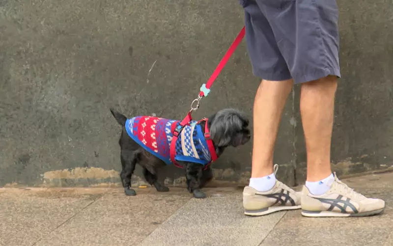Ribeirão Preto enfrenta primeira onda de frio do ano: saiba até quando as temperaturas ficam baixas