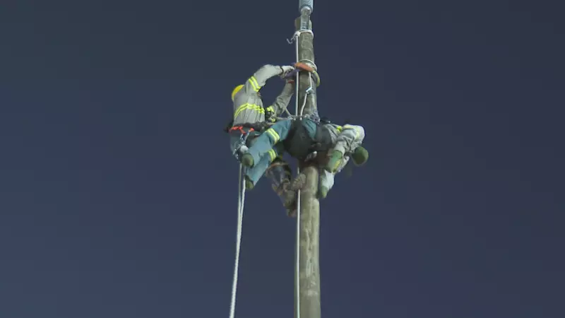 Rodeio Nacional de Eletricistas: Competição testa habilidades técnicas e coragem em Minas Gerais