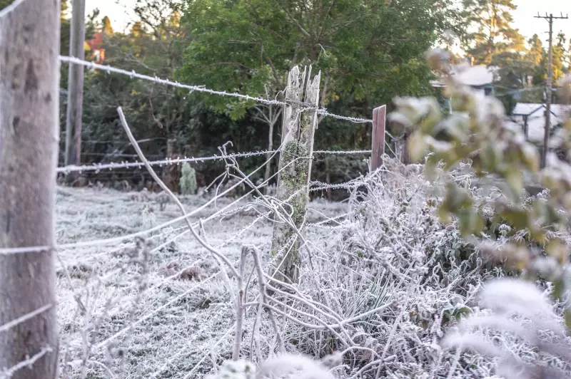 RS enfrenta chuva, ventania e frio intenso com possibilidade de neve nesta quarta-feira