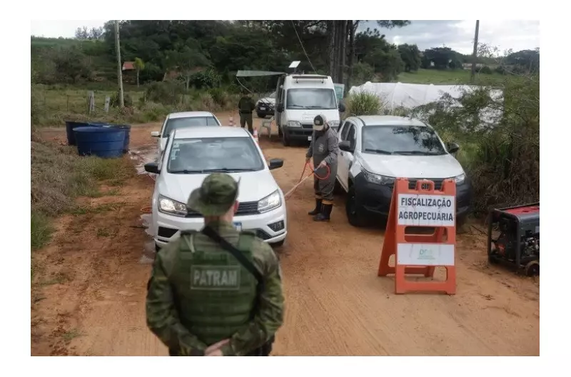 RS reduz barreiras sanitárias contra gripe aviária: entenda as mudanças