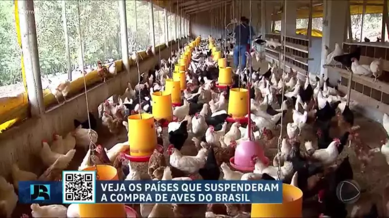 RS rejeita testes de gripe aviária perto do vencimento: risco à saúde pública?
