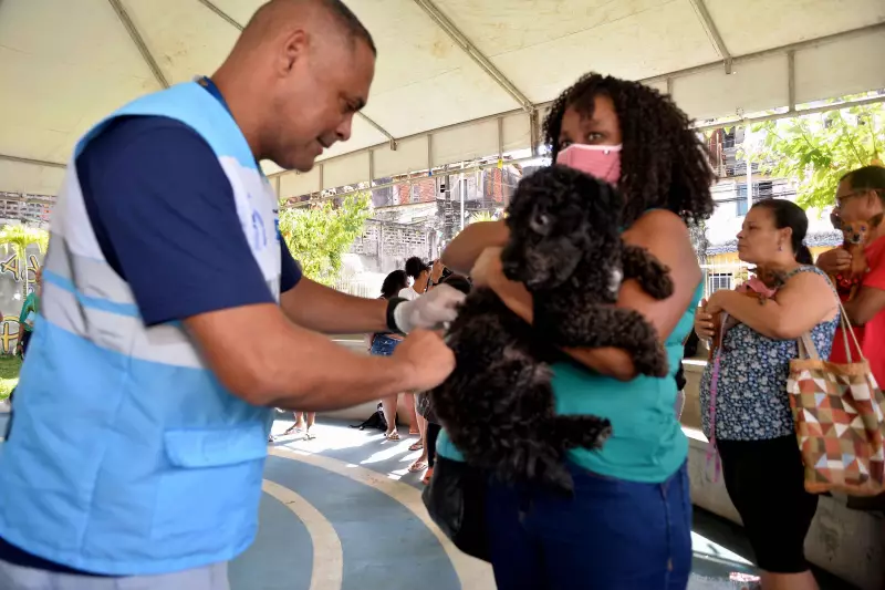 Salvador sedia lançamento de vacina inovadora para proteção canina