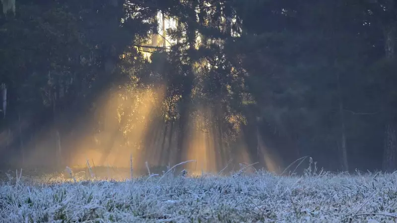Santa Catarina enfrenta semana gelada com possibilidade de neve e temperaturas negativas