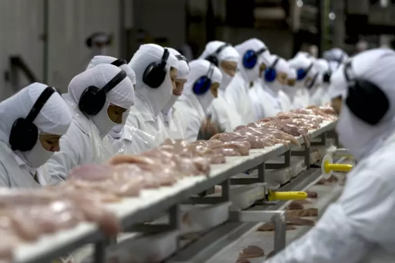 Santa Catarina lidera contratação de estrangeiros no Brasil: 1 em cada 4 trabalha no estado