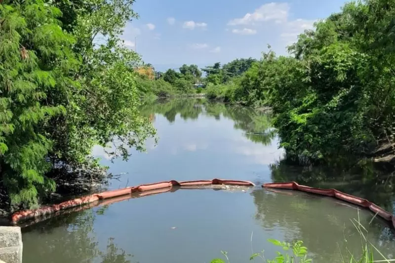 São Vicente (SP) retira 75 toneladas de lixo de canais com ecobarreiras: como funciona?