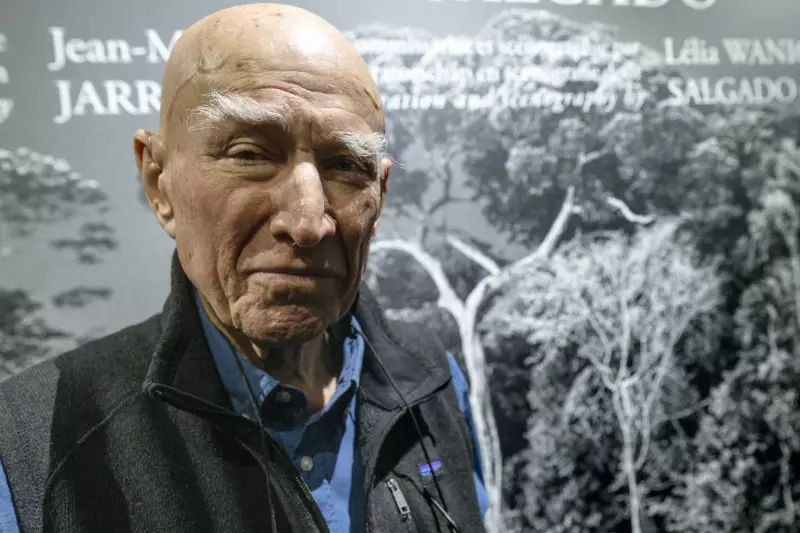Sebastião Salgado e o renascimento de uma floresta: como a natureza voltou a uma área devastada