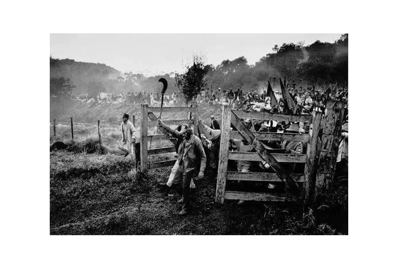Sebastião Salgado visita assentamentos do MST no Paraná e destaca luta pela reforma agrária