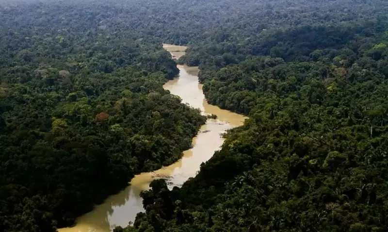 Senado aprova flexibilização no licenciamento ambiental com brecha para exploração de petróleo na Amazônia