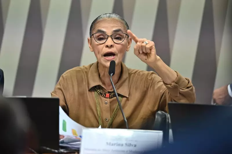 Senador provoca ministra Marina em comissão: 'Não a respeito' e gera tensão