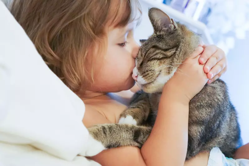Seu gato reconhece você pelo cheiro? A ciência confirma!