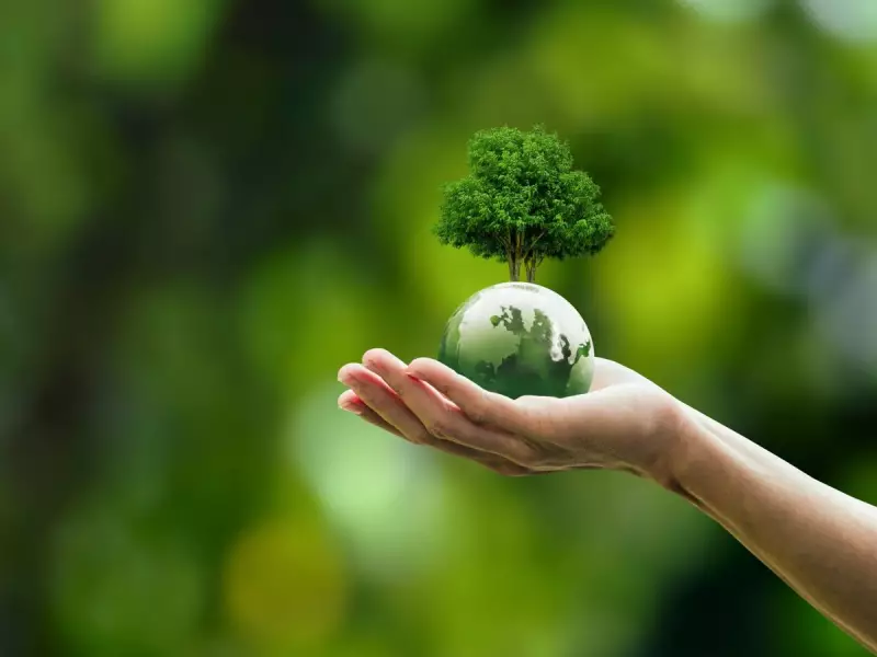 Shoppings brasileiros adotam práticas sustentáveis e reforçam compromisso com o clima