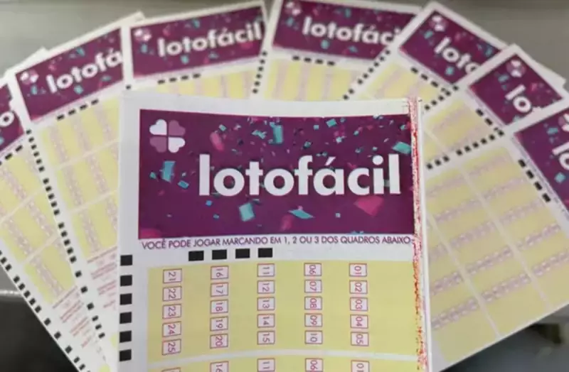Sorte Grande em MS: Apostador acerta 15 números e fatura R$ 619 mil na Lotofácil
