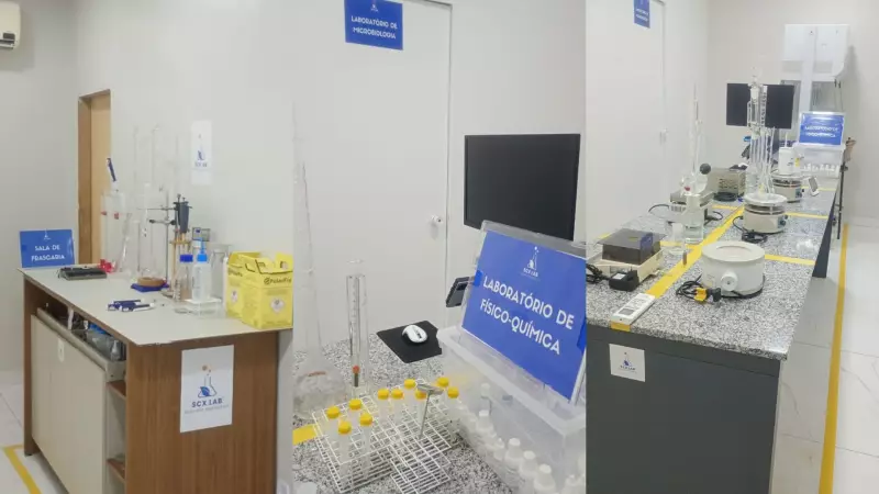 Startup do Amapá desenvolve plantas de mandioca resistentes a pragas e revoluciona agricultura